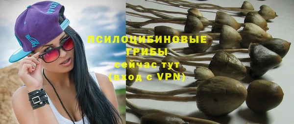 героин Новодвинск