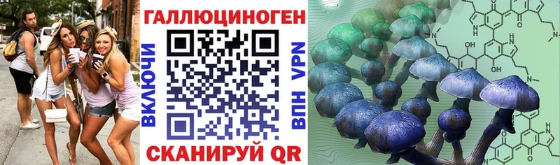 Псилоцибиновые грибы Cubensis  купить наркотики цена  Сертолово 