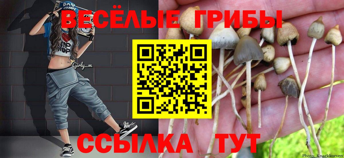 Сертолово  Галлюциногенные грибы ЛСД  Вход с VPN 