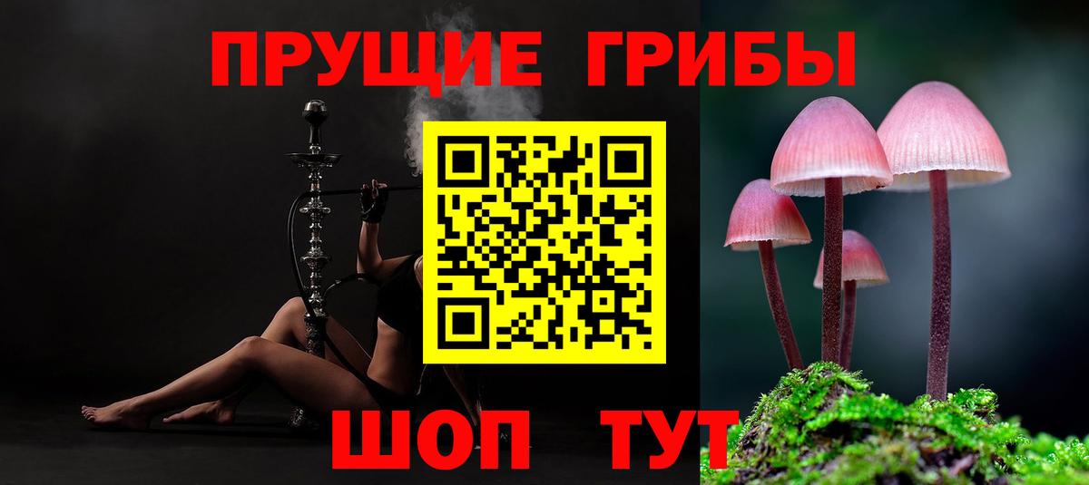Псилоцибиновые грибы мухоморы Сертолово